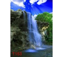 T153