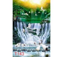 T143