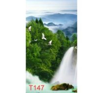 T147
