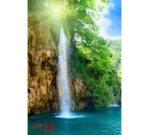 T159