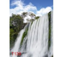 T139
