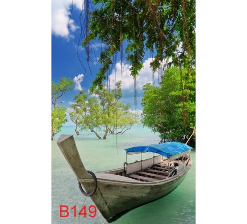 B149