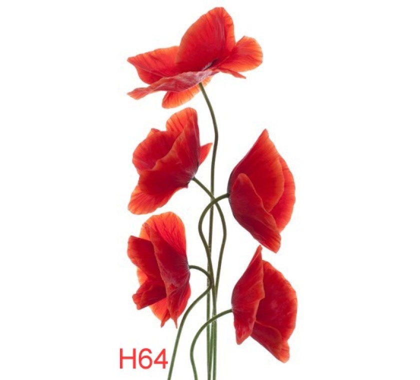 H64