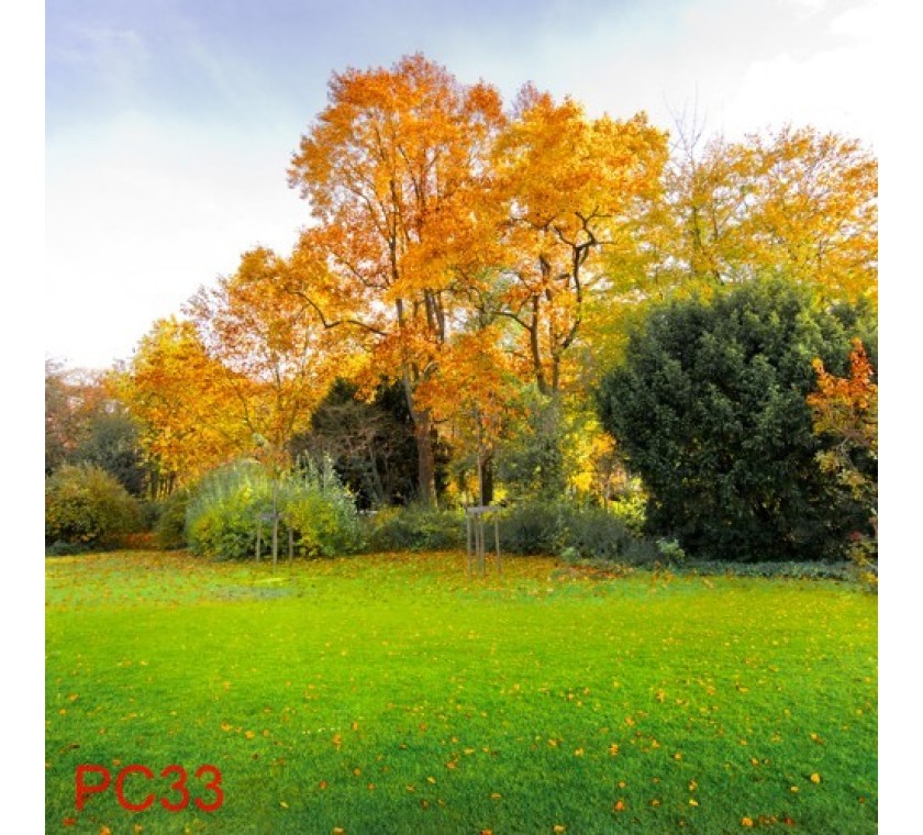 PC33