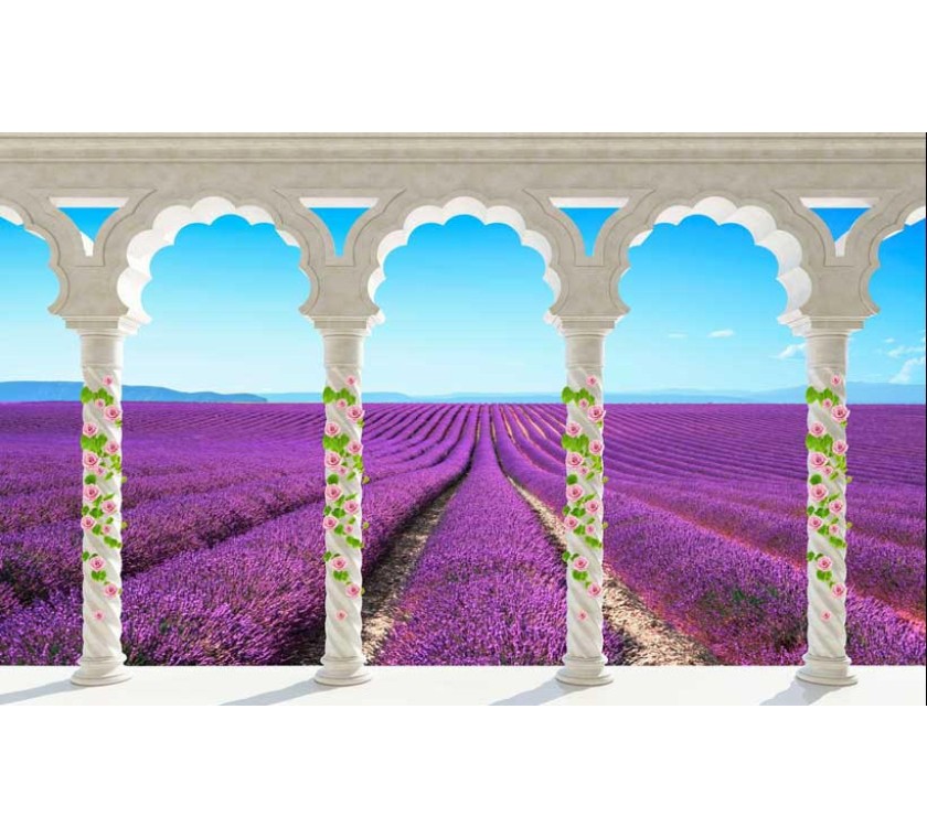 TH_05388