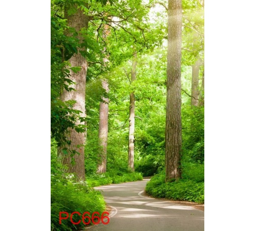 PC666