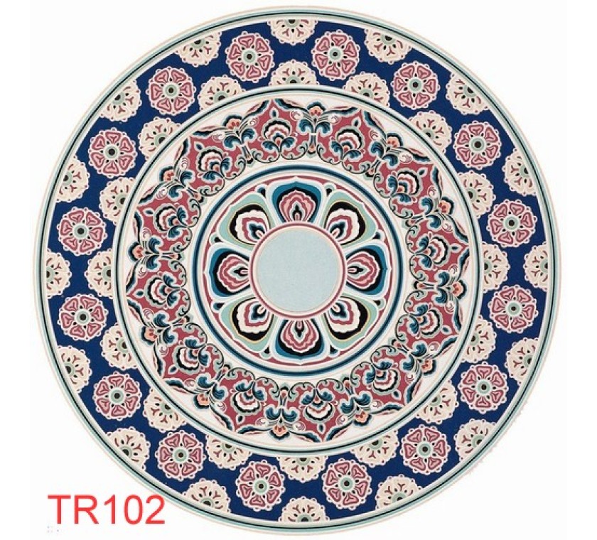 TR102