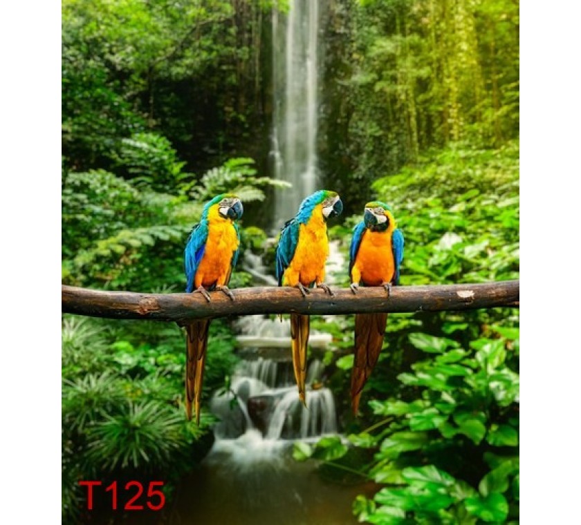 T125