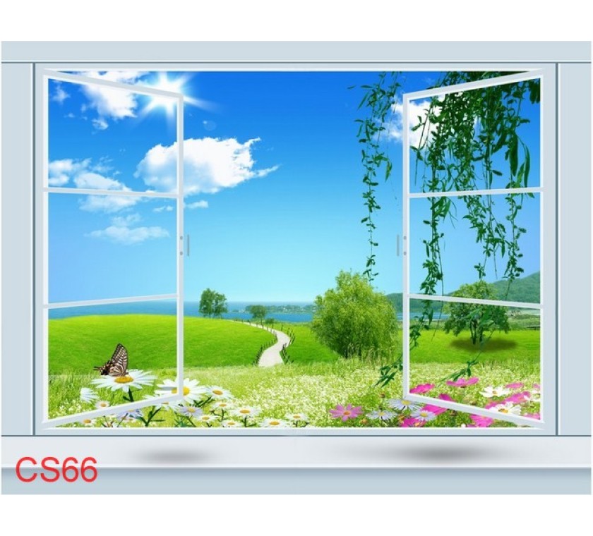CS66