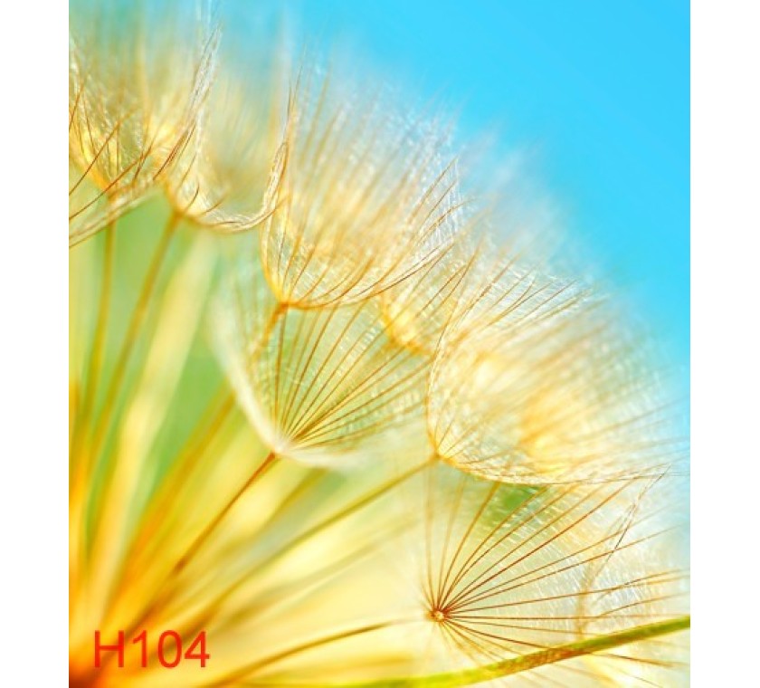 H104