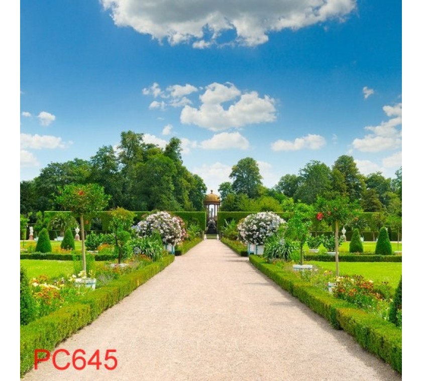 PC645