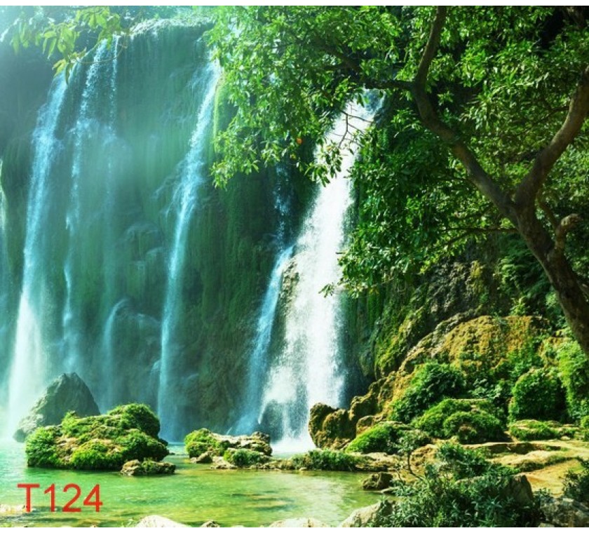 T124