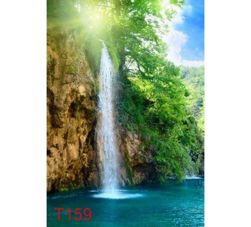T159
