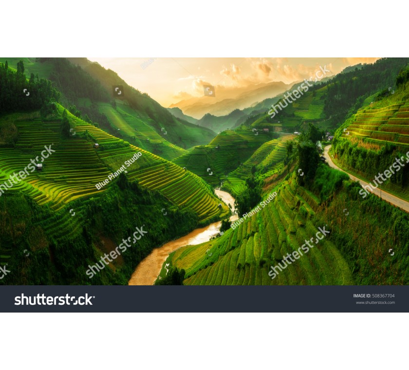 stock 39